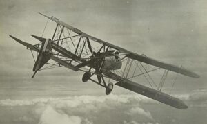Royal Aircraft Factory F.E.8 - British WW1 Aircraft and Warplanes